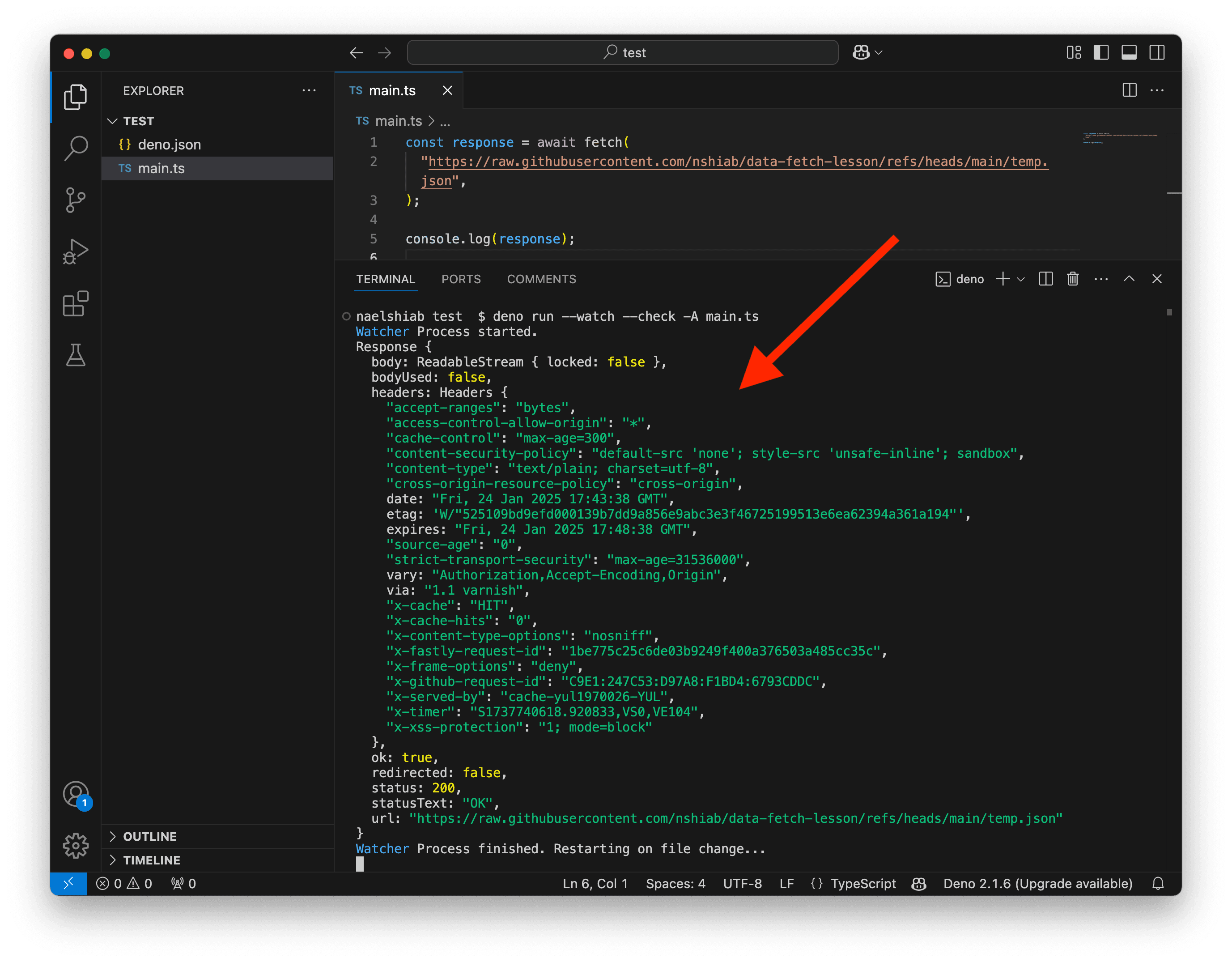 A screenshot showing a fetch response logged in the terminal.