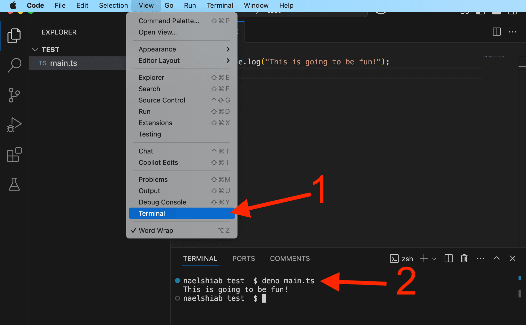 A screenshot showing how to run a TypeScript file in VS Code.